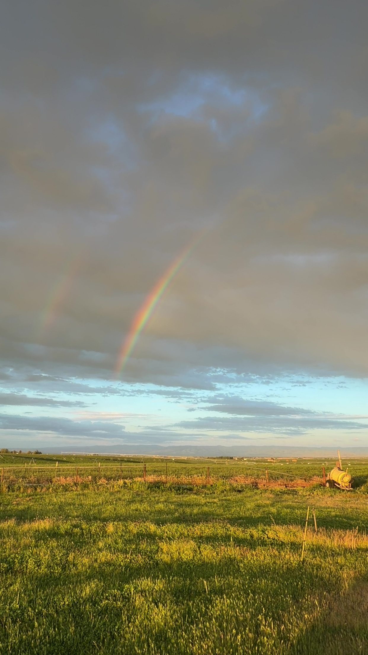 Double rainbow over the fields after a spring rain